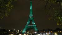 La tour Eiffel en vert pour célébrer la mise en oeuvre de l'accord de Paris, le 4 novembre 2016 [PATRICK KOVARIK / AFP/Archives]