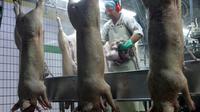 Un employé de l'abattoir de la Cooperl à Montfort-sur-Meu découpe des cochons sur la chaine de l'entreprise le 9 Mars 2007 [Andre Durand / AFP/Archives]