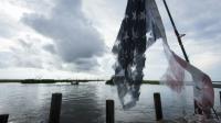 Un drapeau américain en lambeaux dans les bayous de Louisiane près de l'Isle de Jean Charle, le 16 août 2015 [LEE CELANO / AFP]