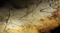 Une reproduction des peintures rupestres de la grotte de Lascaux faisant partie de l'exposition itinérante Lascaux III, à Bordeaux le 12 octobre 2012 [Jean-Pierre Muller / AFP]
