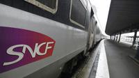 La SNCF admet "des failles" et promet une "réorganisation" [DOMINIQUE FAGET / AFP/Archives]