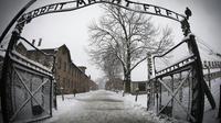 Entrée dans l'ex-camp de concentration nazi Auschwitz-Birkenau en Pologne, le 25 janvier 2015 [JOEL SAGET / AFP/Archives]