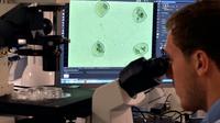 Un ingénieur de laboratoire contrôle au microscope la qualité de l'impression de cellules dans le laboratoire de Poietis à Pessac le 22 janvier 2016 [GEORGES GOBET / AFP]