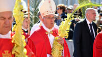 Le pape François a rendu hommage aux victimes coptes lors de la messe des Rameaux.