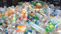 Des habitants de l'archipel récupèrent quotidiennement des dizaines de bouteilles en plastique pour les recycler (photo d'illustration). 