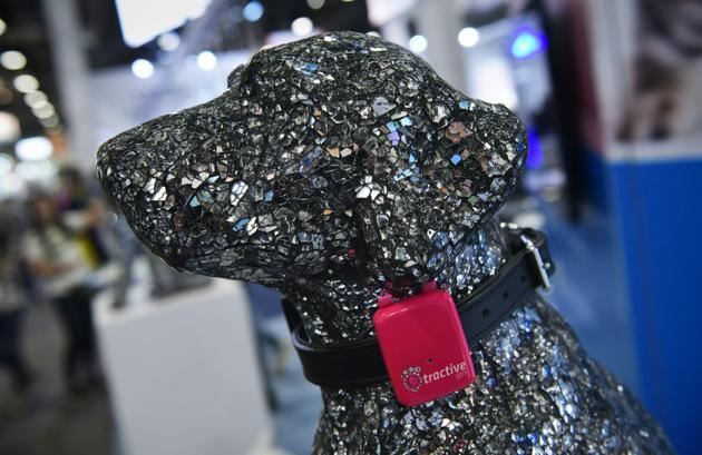 Un GPS tracker pour chien présenté au salon de l'électronique à Las Vegas, aux Etats-Unis, le 10 janvier 2018 [MANDEL NGAN / AFP]