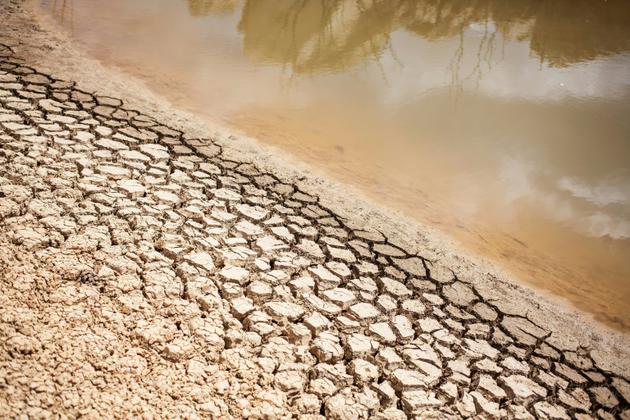 Effets de la sécheresse dans une ferme près du Cap, le 7 mars 2018 [WIKUS DE WET / AFP]
