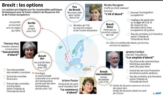 Brexit : les options [Gillian HANDYSIDE / AFP]