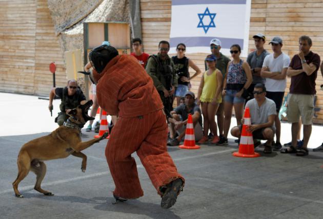 Des touristes étrangers se familiarisent aux techniques israéliennes de lutte contre le "terrorisme" et s'initient au maniement des armes, dans l'ancien camp d'entraînement "Caliber 3", près d'Efrat en Cisjordanie occupée, le 18 juillet 2017 [MENAHEM KAHANA / AFP]