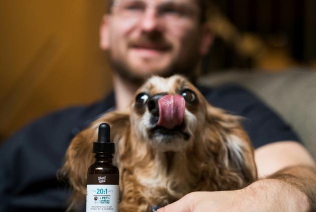 Brett Hartman et son chien Brutus, traité au cannabis, le 7 juin 2017 à Los Angeles [Robyn Beck / AFP]