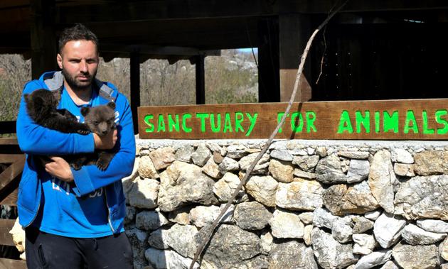 Le 28 mars 2017 à Blisna au Monténégro, Miljan Milickovic ingénieur de 31 ans et passionné d'animaux porte dans ses bras Masha et Brundo qu'il a installés dans sa propriété, aussi proches que possibles de la vie sauvage [SAVO PRELEVIC / AFP/Archives]