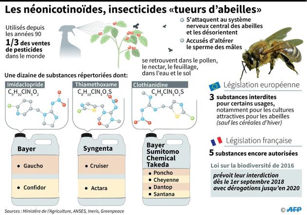 Les néonicotinoïdes, insecticides "tueurs d'abeilles" [Elia VAISSIERE / AFP]