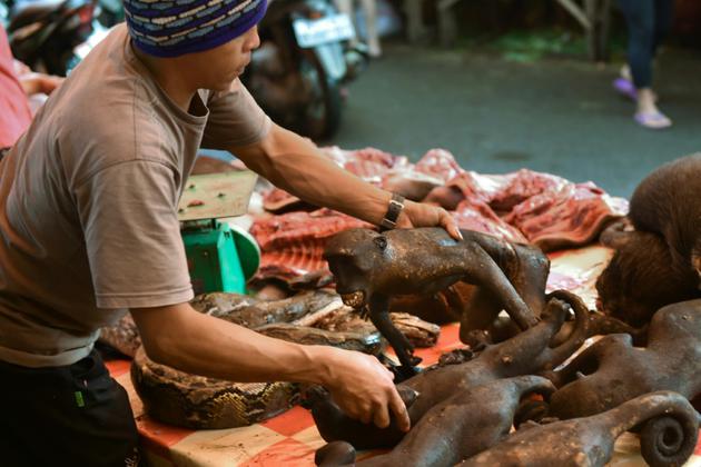 Un vendeur tente de cacher des macaques noirs sous d'autres animaux dans un marché de la province de Sulawesi en Indonésie, le 18 février 2017 [Bay ISMOYO / AFP]