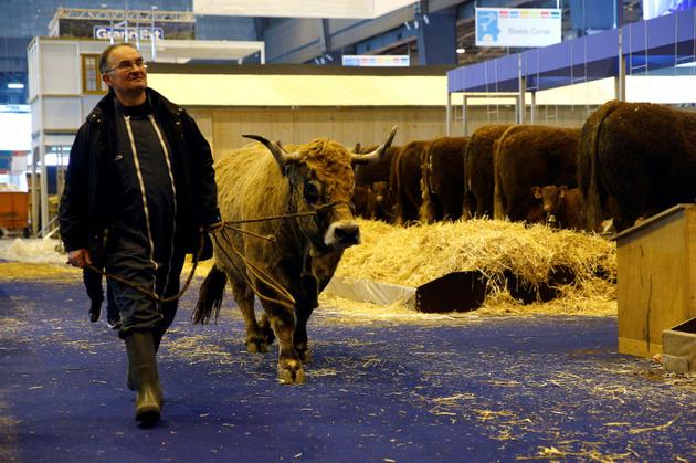Un agriculteur conduit une vache à la veille de l'ouverture du salon de l'Agriculture à Paris le 22 février 2018 [GEOFFROY VAN DER HASSELT / AFP]