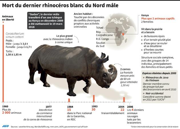Mort du dernier rhinocéros blanc du Nord mâle [A.Leung/J.Saeki, dmk/abm/vl/pld / AFP]