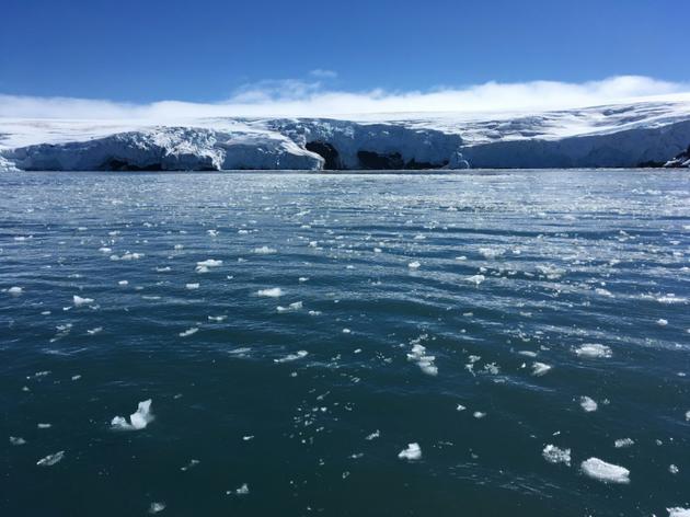 Des blocs de glace au large du glacier Collins, le 2 février 2018 sur l'île du Roi-George, en Antarctique [Mathilde BELLENGER / AFP]