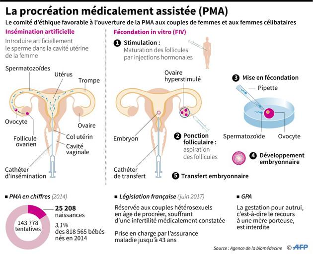La procréation médicalement assistée (PMA) [Paz PIZARRO / AFP]