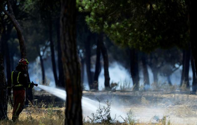 Des pompiers tentent d'éteindre l'incendie dans le parc naturel de Doñana au sud de l'Espagne, le 25 juin 2017 près de Mazagon [CRISTINA QUICLER                     / AFP]