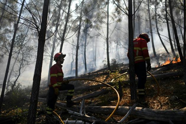 Des pompiers surveillent la progression d'un feu de forêt près du village de Bracal le 11 août 2017. [PATRICIA DE MELO MOREIRA / AFP/Archives]