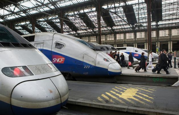Des TGV Gare de Lyon à Paris, le 24 mars 2010 [LOIC VENANCE / AFP/Archives]