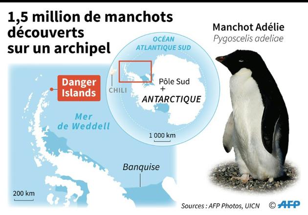 1,5 million de manchots découverts en Antarctique [Sophie RAMIS / AFP]