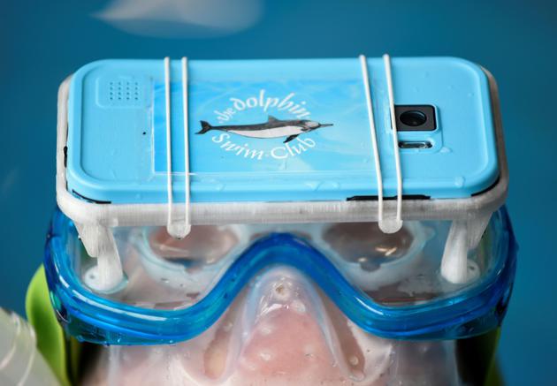Des lunettes de réalité virtuelle permettant de visionner des films sur les dauphins testés dans une piscine à Apeldoorn, aux Pays-Bas, le 31 octobre 2017 [JOHN THYS / AFP]
