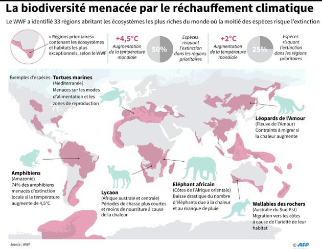 La biodiversité menacée par le réchauffement climatique [Nick Shearman / AFP]