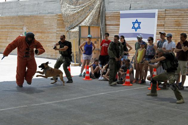 Des touristes étrangers se familiarisent aux techniques israéliennes de lutte contre le "terrorisme" et s'initient au maniement des armes, dans l'ancien camp d'entraînement "Caliber 3", près d'Efrat en Cisjordanie occupée, le 18 juillet 2017 [MENAHEM KAHANA / AFP]