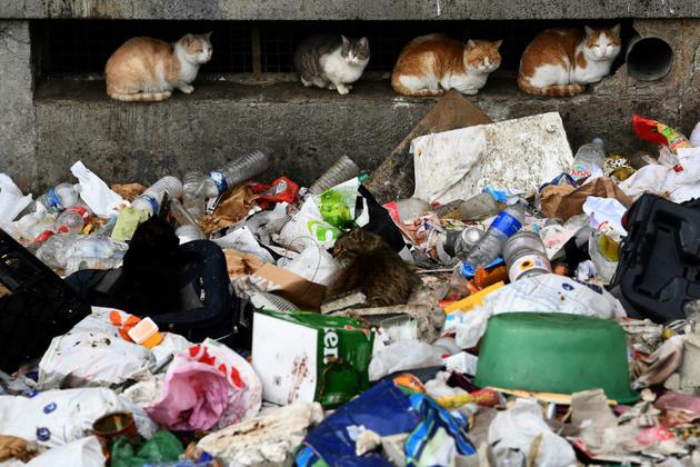 Des déchets amoncelés devant une barre de la cité des Kalliste, dans le nord de Marseille [BORIS HORVAT / AFP]