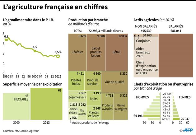 L'agriculture française en chiffres [Sabrina BLANCHARD / AFP]