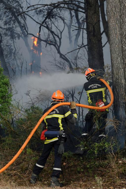 Incendie à Saint-Cannat, dans les Bouches-du-Rhône, le 15 juillet 2017  [Franck PENNANT / AFP]