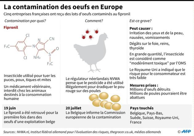 La contamination des oeufs en Europe [John SAEKI / AFP]